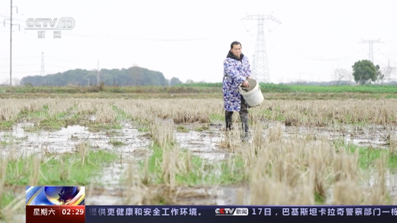 [新闻直播间]江西高安 绿色春耕 让作物生产更有机