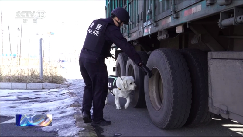 [共同关注]国家移民管理局 战功赫赫 15只警犬获评首批“功勋犬”