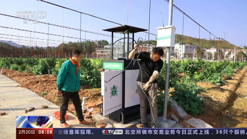 [朝闻天下]江西赣州 提高智能化水平 柑橘果园增收效果明显