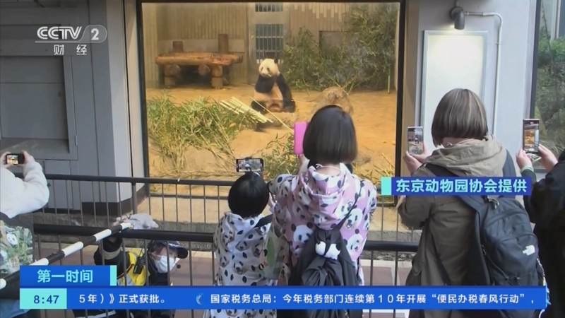 [第一时间]日本民众与大熊猫“香香”依依惜别