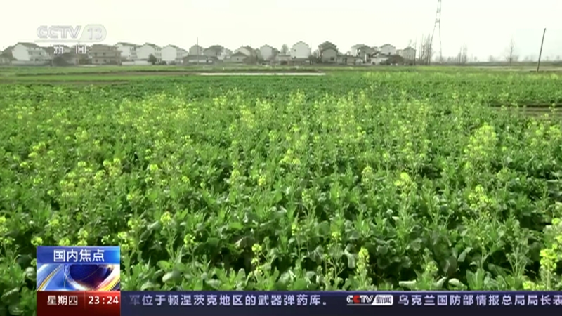 [24小时]农业农村部农情调度显示 夏季粮油生产基础好 农资供应充足