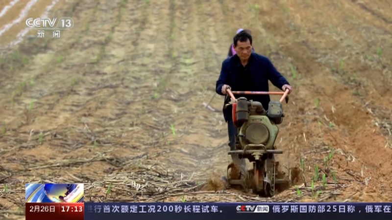 [新闻直播间]广西柳州 加大机械设备应用 助力甘蔗增产增收