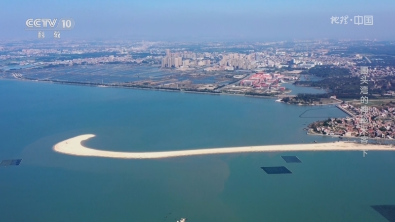 [地理·中国]围头湾发现世界级的海洋自然奇观