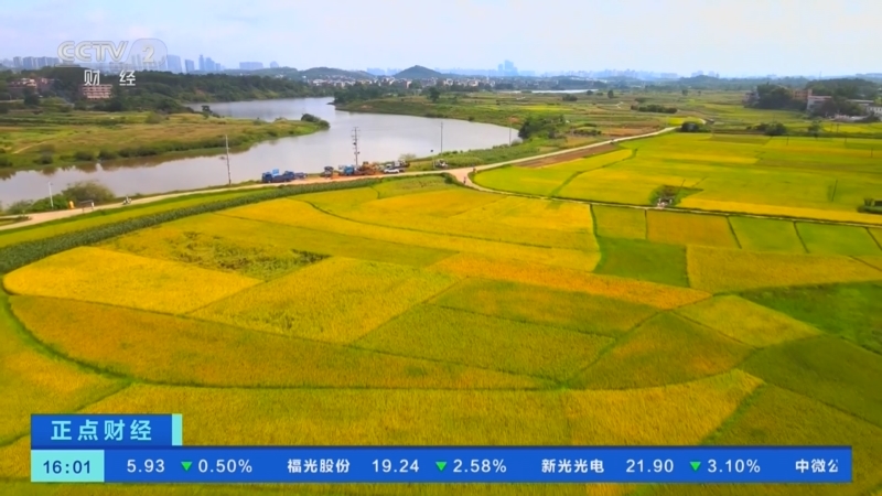 《正点财经》 20230823 16:00