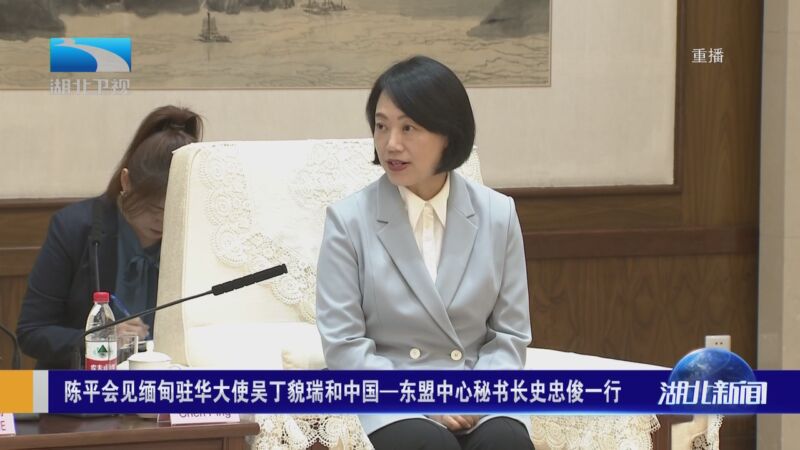 [湖北新闻]陈平会见缅甸驻华大使吴丁貌瑞和中国—东盟中心秘书长