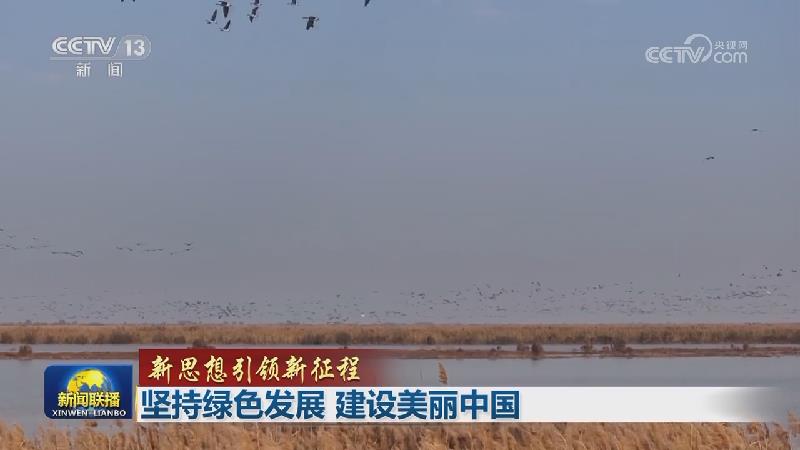 【新思想引领新征程】坚持绿色发展 建设美丽中国