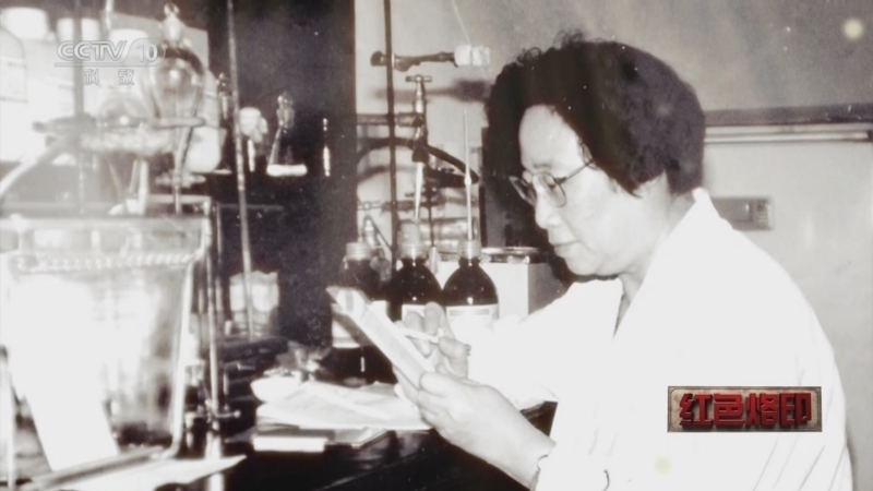 [红色烙印—革命文物的故事第二季]"中国小草":屠呦呦给母校的回信