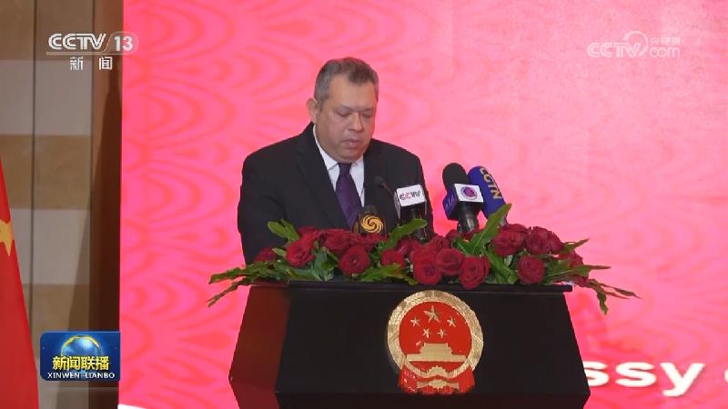我驻外代表团和使馆举行活动喜迎龙年春节