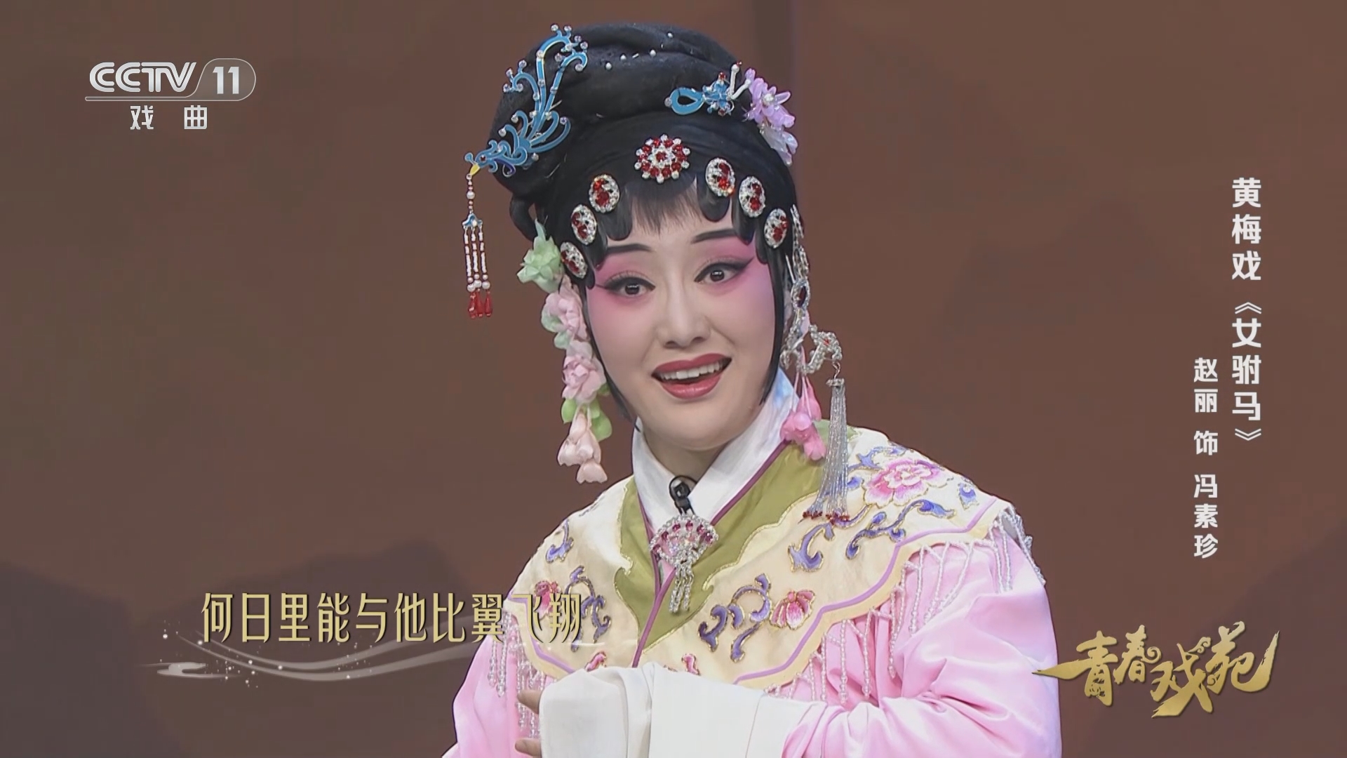 [青春戏苑]黄梅戏《女驸马》 表演 赵丽