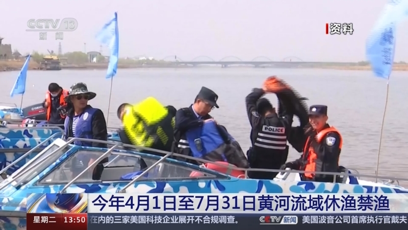 [新闻直播间]今年4月1日至7月31日黄河流域休渔禁渔