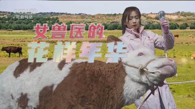 《道德观察(日播版)》 20240328 女兽医的花样年华