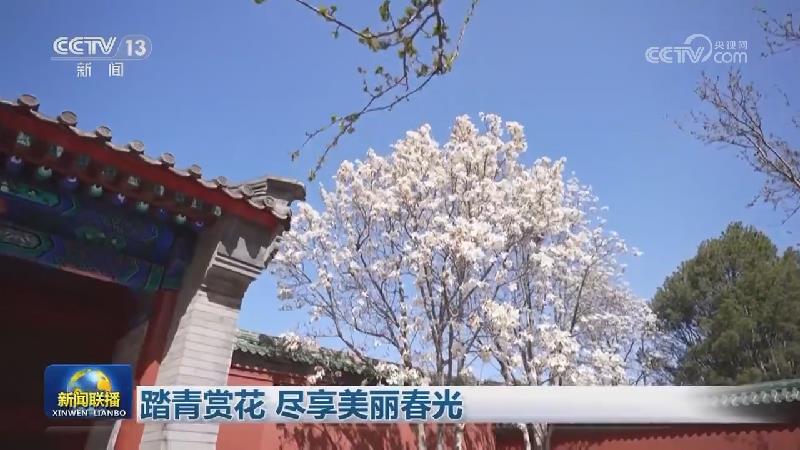 踏青赏花 尽享美丽春光