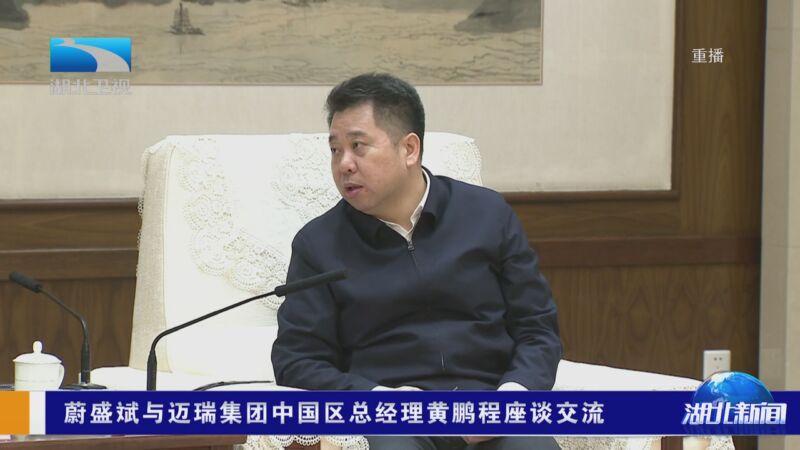 [湖北新闻]蔚盛斌与迈瑞集团中国区总经理黄鹏程座谈交流