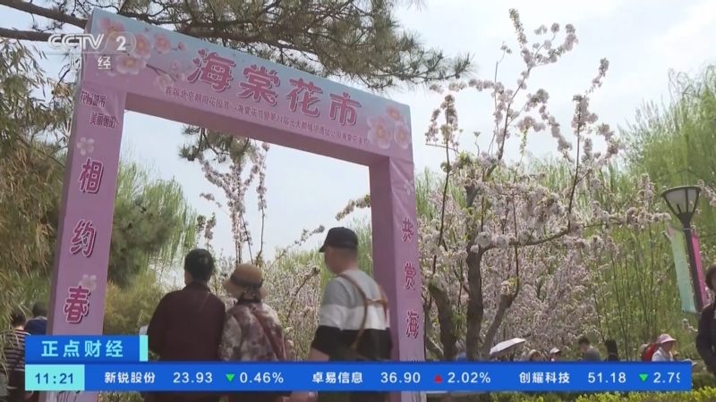 [正点财经]北京:海棠花盛放美如画