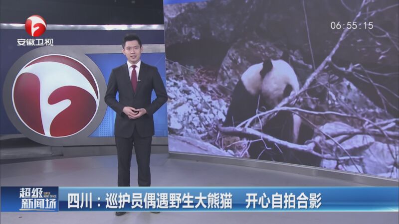 [超级新闻场]四川:巡护员偶遇野生大熊猫 开心自拍合影