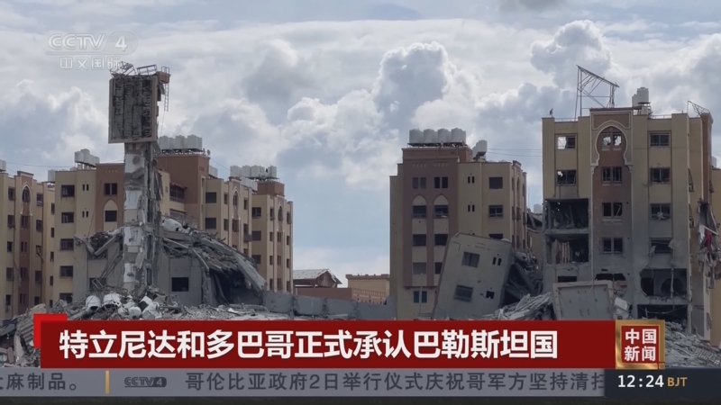 [中国新闻]特立尼达和多巴哥正式承认巴勒斯坦国