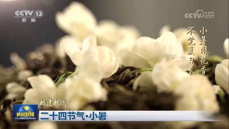 二十四节气·小暑