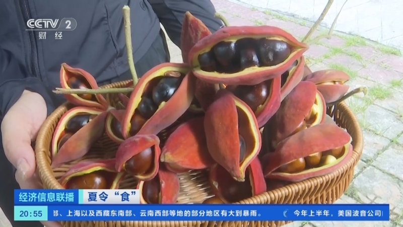 [经济信息联播]夏令食 广西合浦:夏季特产九层皮受欢迎