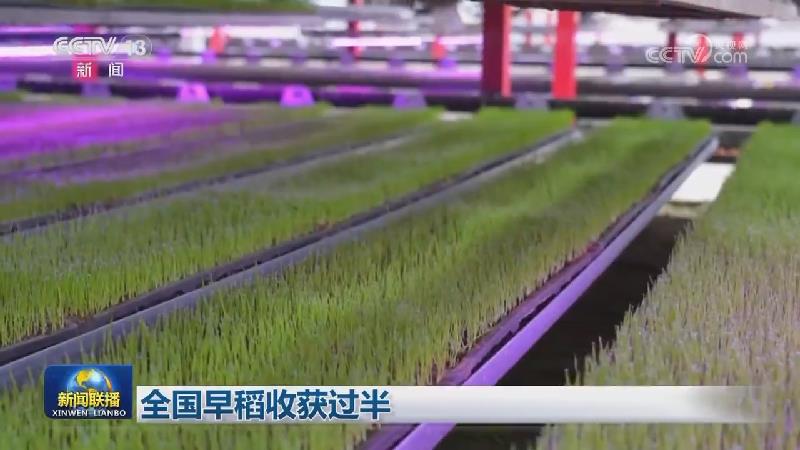 全国早稻收获过半