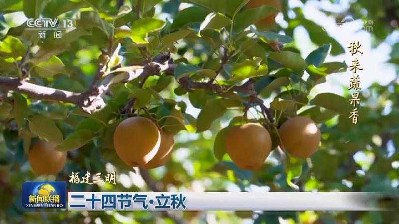 二十四节气·立秋
