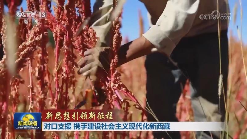 【新思想引领新征程】对口支援 携手建设社会主义现代化新西藏