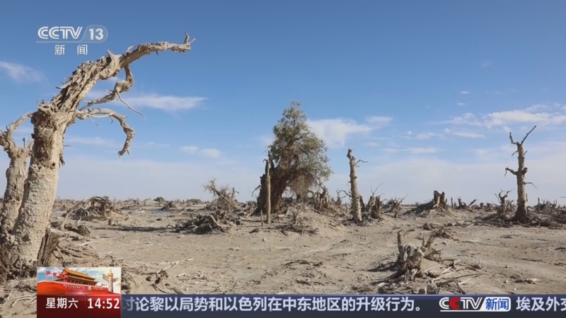 河北邯郸肥乡区警方回应初一学生王某某被杀害案：犯罪嫌疑人为有预谋作案