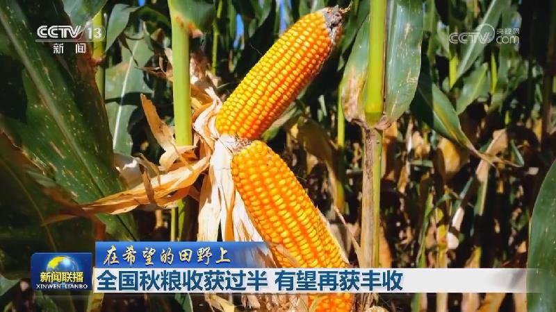 【在希望的田野上】全国秋粮收获过半 有望再获丰收