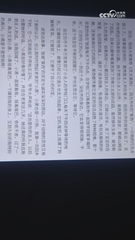 读《灵犬莱西》有感