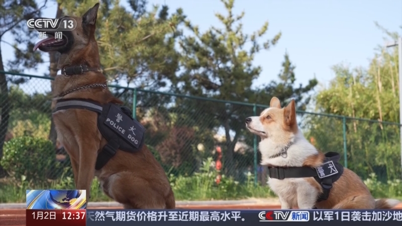 《法治在线》 20250102