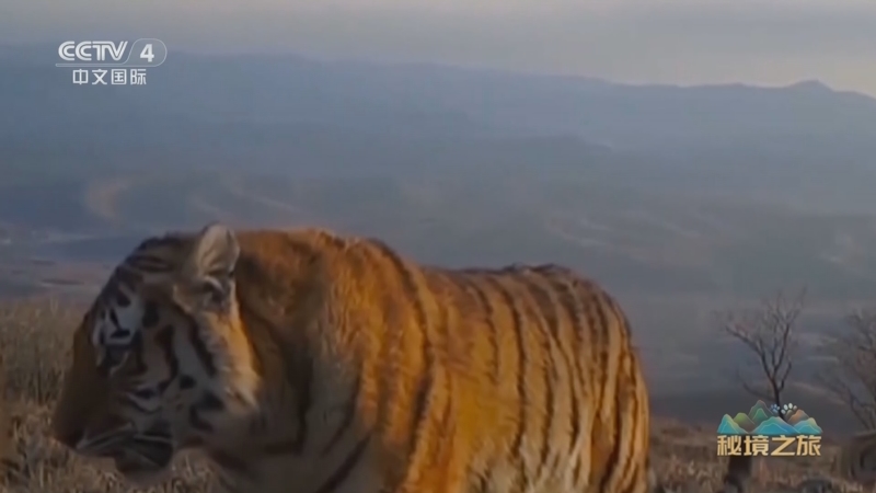 《远方的家》 20250103 秘境之旅 北国风光 山水家园