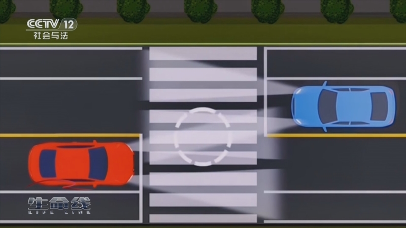 《生命线》 20250125 全民交通安全公开课 春节开讲了