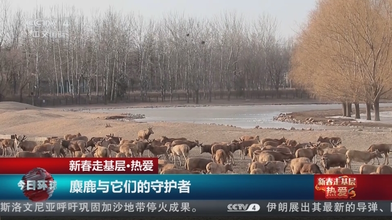 吉林省消协开展纸尿裤类商品比较试验