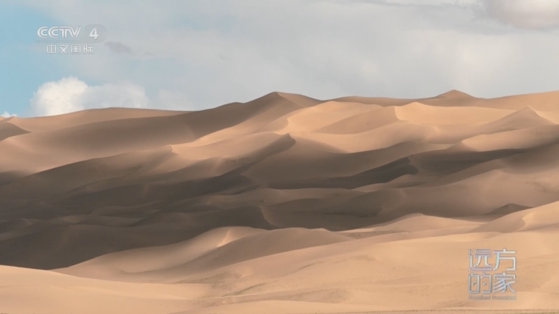 《远方的家》 20250224 秘境之旅 荒漠里的动物家园