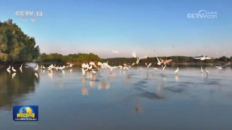【总书记的人民情怀】绿水青山间的幸福