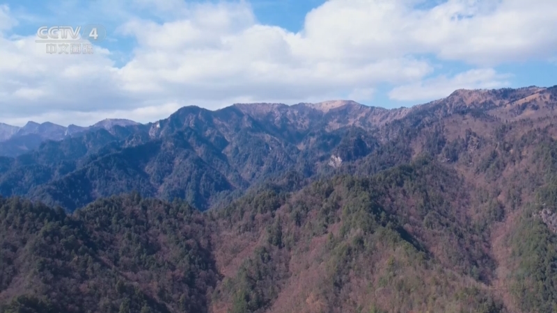 《远方的家》 20250402 中国自然秘境 神奇动物在秦岭