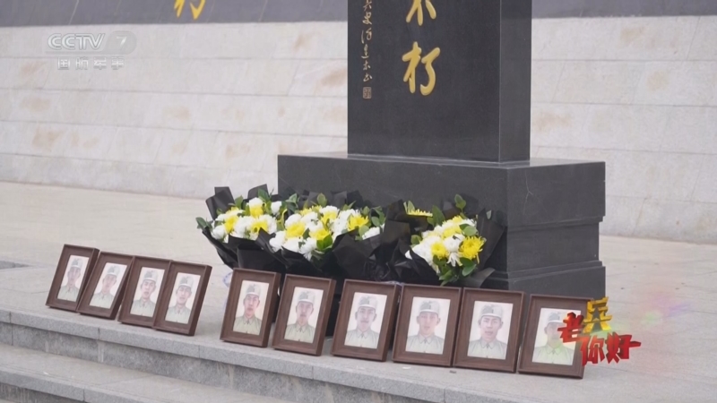 《老兵你好》 20250405 2025年清明节特别节目 你们的样子