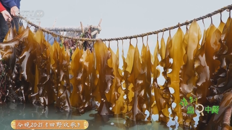 《谁知盘中餐》 20250419 山水知味 海里来的脆滋味