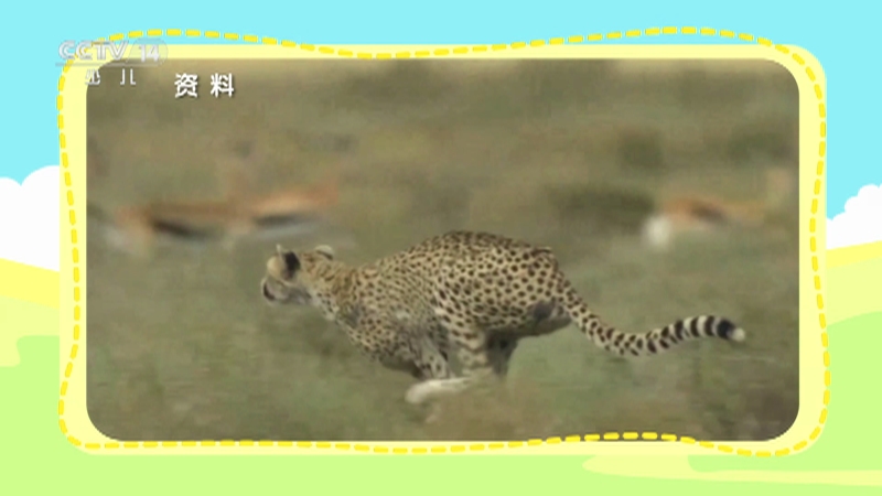 《小小智慧树》 20250428