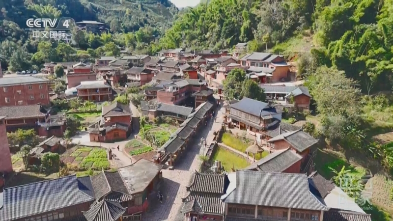 《远方的家》 20250515 山水云南 神奇画卷 边陲秘境绿韵浓