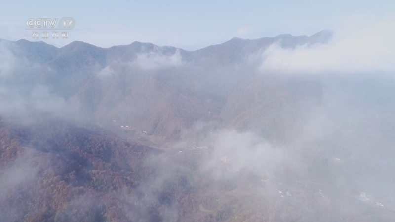 《谁知盘中餐》 20250517 山水知味 菌菇百变滋味鲜