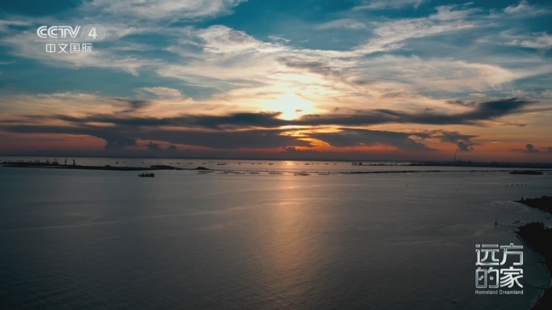 《远方的家》 20250521 山海交响 壮美广西 海天之间品钦州