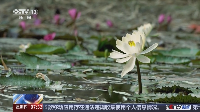 《朝闻天下》 20250522 07:00