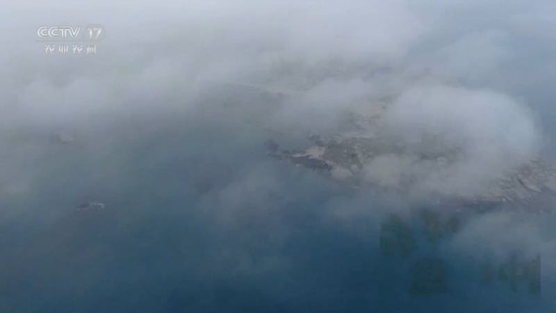 《谁知盘中餐》 20250524 大地鲜踪 带壳的海中鲜