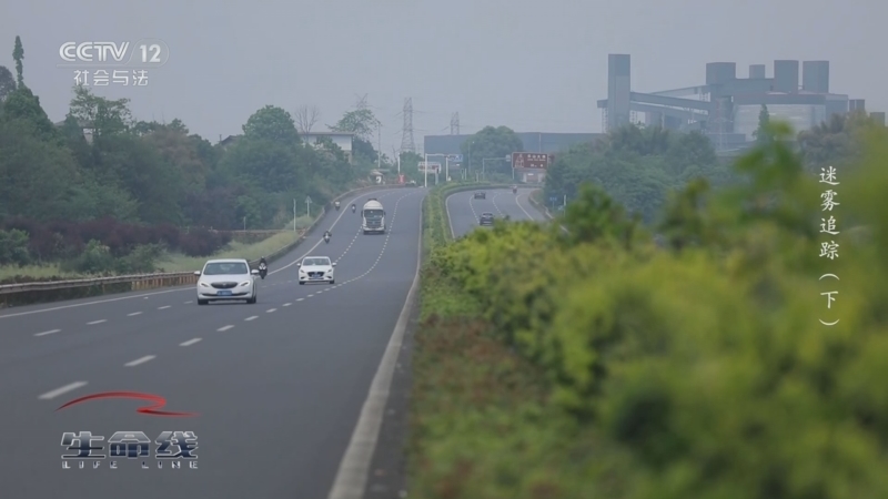 《生命线》 20250528 迷雾追踪（下）