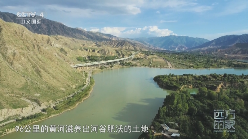 《远方的家》 20250604 母亲河的脉动 黄河两岸 山水家园