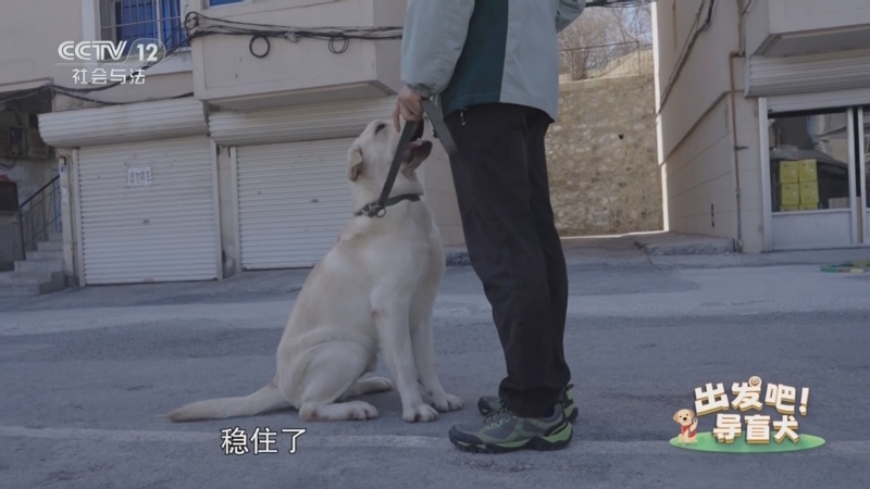《道德观察(日播版)》 20250606 我和导盲犬有个约定