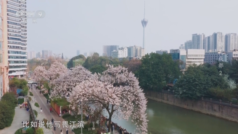 《诗美成都》 第2集 杜甫痴寻花