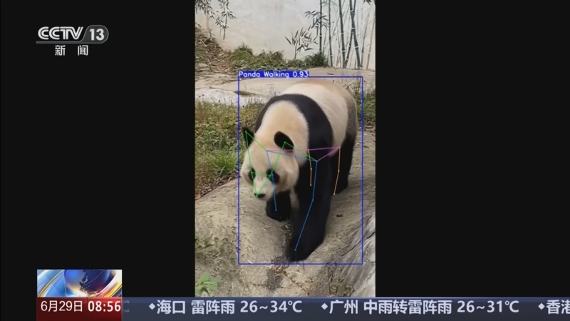 《朝闻天下》 20250629 08:00