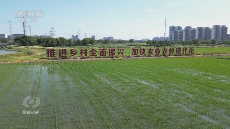 《焦点访谈》 20250713 良种良法保粮安