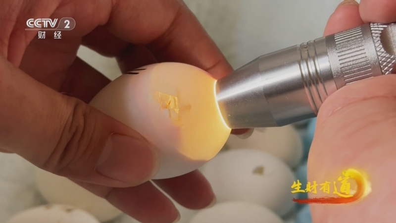 《生财有道》 20250731 “美丽经济”火 筑梦故乡人